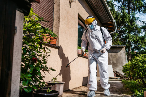 Best Best Pest Control Companies  in Gouldtown, NJ